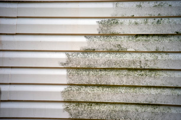 Recycling Services for Junk in Woodbourne, PA